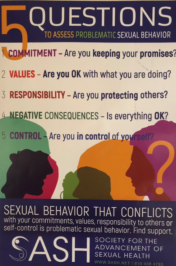 Poster Of Five Questions To Assess Problematic Sexual Behavior Bill Herring Lcsw Csat 5964